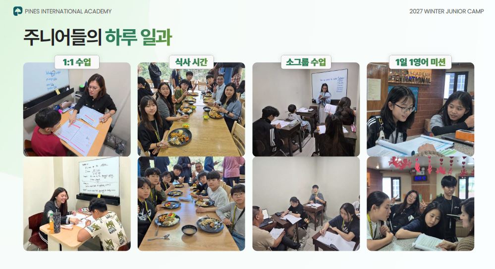 파인스8