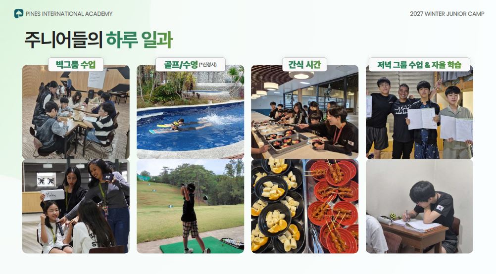 파인스9