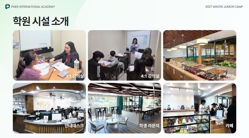 파인스6