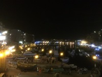 IMG_5478.jpg