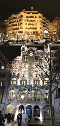 41-vert.jpg