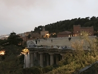 39.jpg